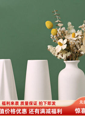 白色挂件配件花瓶素烧欧式创意家居陶瓷摆件装饰插花干花花