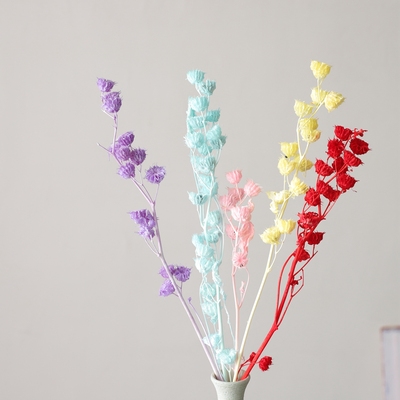 等花来蓖麻风花永生花配材