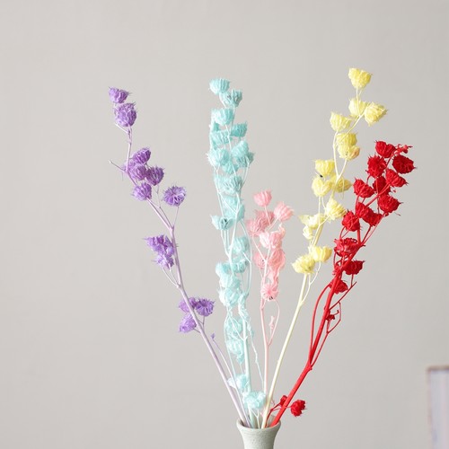 等花来蓖麻风花永生花配材车轮果