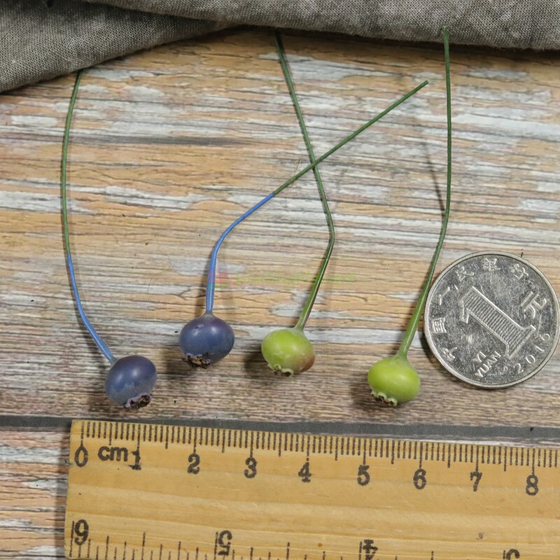 仿真珠子23401/23030桑葚果23741蓝莓果23750大地农园进口配饰珠