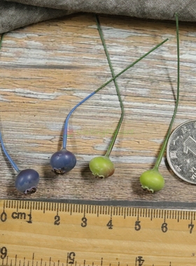 仿真珠子23401/23030桑葚果23741蓝莓果23750大地农园进口配饰珠