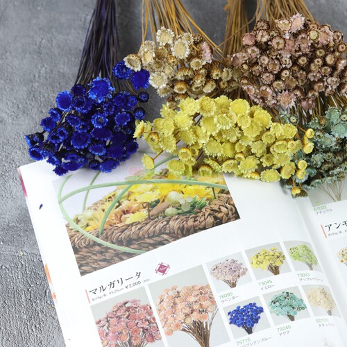 花艺点缀永生花毛毛菊TOKA