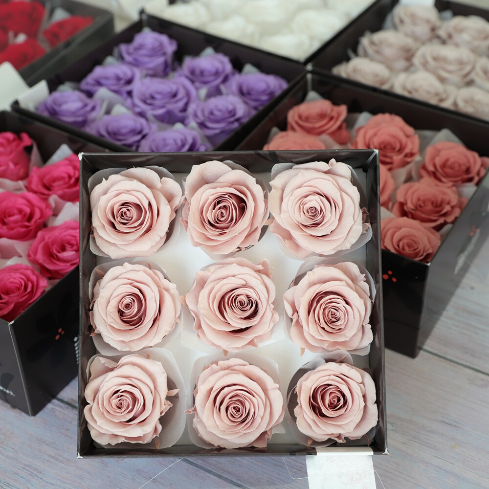 大地农园进口4cm05202/05232diy礼盒玻璃罩材料包03042永生花玫瑰,鲜花速递/花卉仿真/绿植园艺,永生花,淘宝优惠券,粉丝福利购,淘宝优惠卷