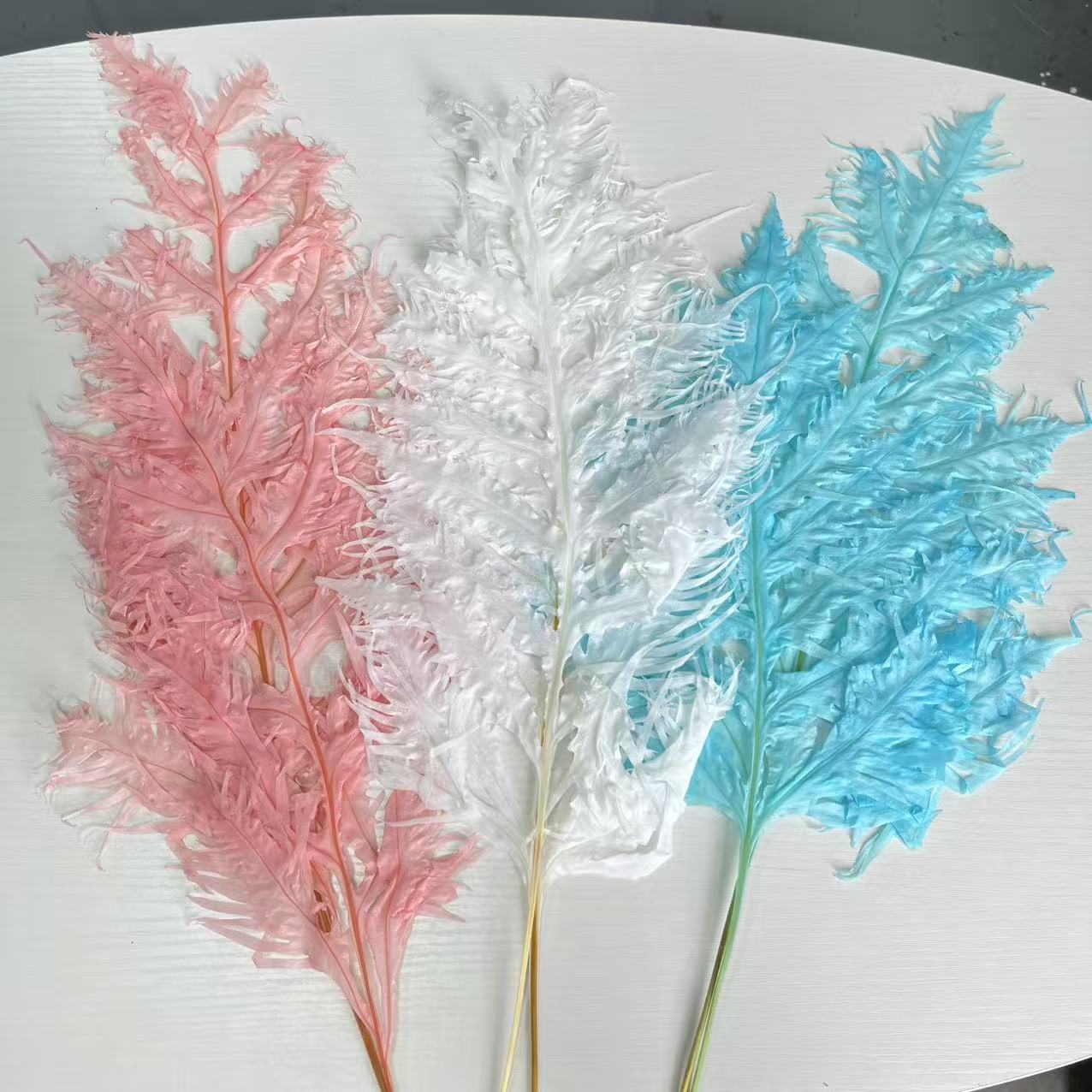 等花来永生花凤尾蕨叶戒指材料图片