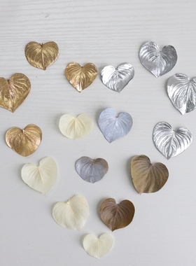 进口大地心形叶子51630菩提叶天然真树叶diy相框饰品橱窗装饰配叶