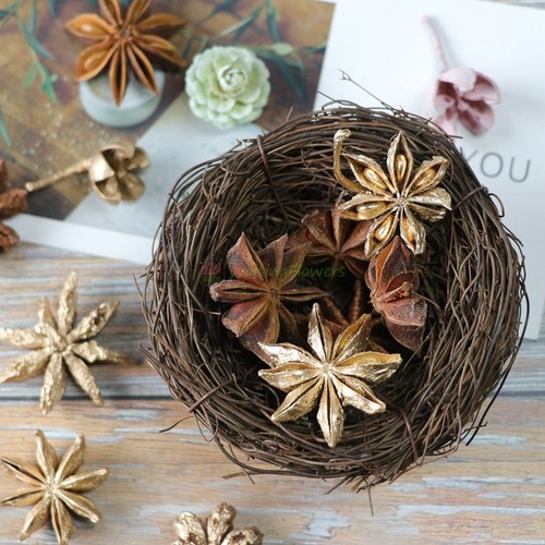 手工制作干花waitingflowers