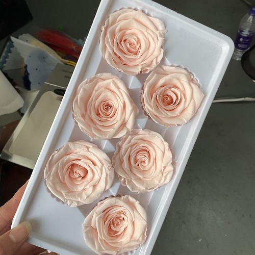 等花来永生花b级玫瑰5-6cm大花头