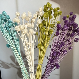 等花来国产草莓果干花永生花插花布景材料包手工diy室内摆设拍照