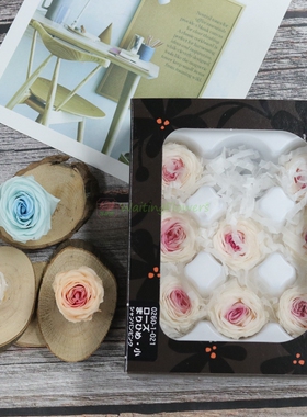 进口大地农园迷你双色奥斯汀玫瑰永生花02602/02601玻璃罩藤环diy