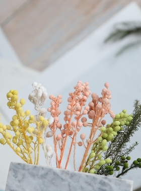 小足球果大地农园配材/03100-700/单束Diy迷你绿果子国产珊瑚果