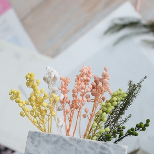 小足球果大地农园配材/03100-700/单束Diy迷你绿果子国产珊瑚果