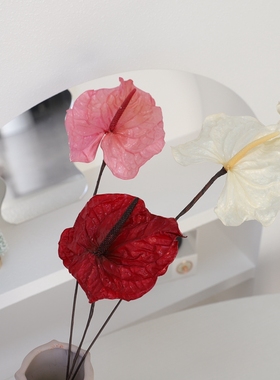 等花来进口大地农园05410家居装饰拍摄道具婚庆花艺永生花红掌