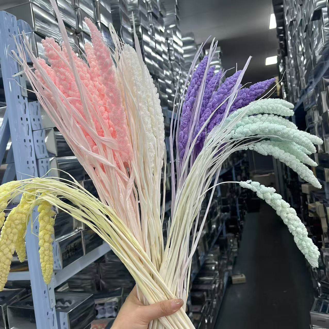 永生花小米高粱长支花材插花瓶拍摄道具保鲜花国产A级,鲜花速递/花卉仿真/绿植园艺,永生花,淘宝优惠券,粉丝福利购,淘宝优惠卷