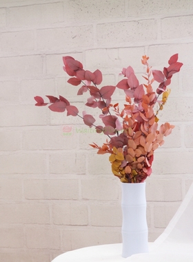 尤加利叶永生花秋桔色03960尤加利02120 拍摄道具zaka家居瓶花