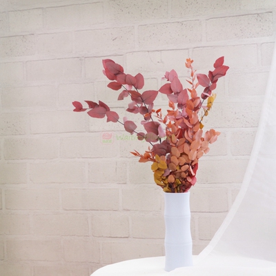 尤加利叶永生花秋桔色03960尤加