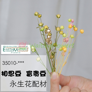 进口大地农园35010亚麻富贵豆永生花02970豆铃兰diy材料包