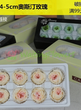 国产奥斯汀永生花玫瑰A级8朵装4-5cm保鲜花5-6cm真花玫瑰包花束