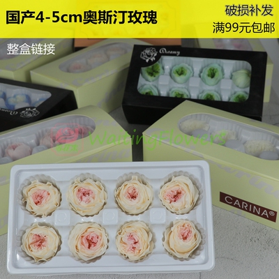 等花来永生花奥斯汀8朵装4-5cm玫