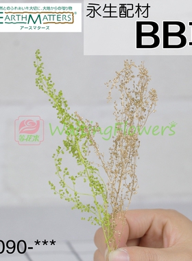 BB草米蒿金色绿色01090 大地农园进口永生花插花玻璃罩保鲜花