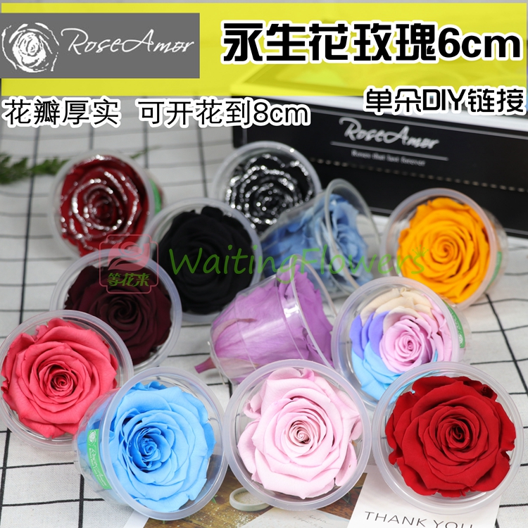 roseamor5-6cm花头等花来diy材料包荷兰进口厄瓜多尔