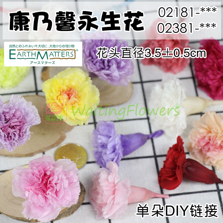 大地农园永生花康乃馨母亲节礼物图片
