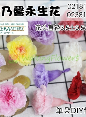进口大地农园02381/02181永生花康乃馨单朵diy手工母亲节礼物