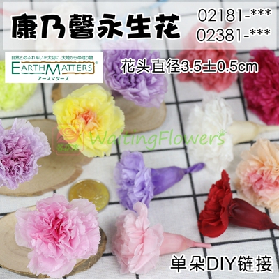 大地农园永生花康乃馨母亲节礼物