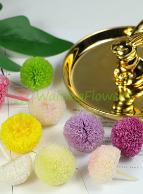 大地农园02646/02640永生花乒乓菊保鲜花国产手工diy材料包配花