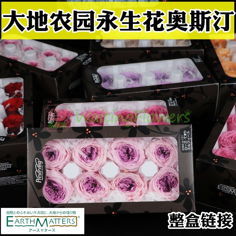 等花来大地农园03830/02460diy材