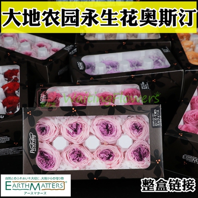 等花来大地农园03830/02460diy材
