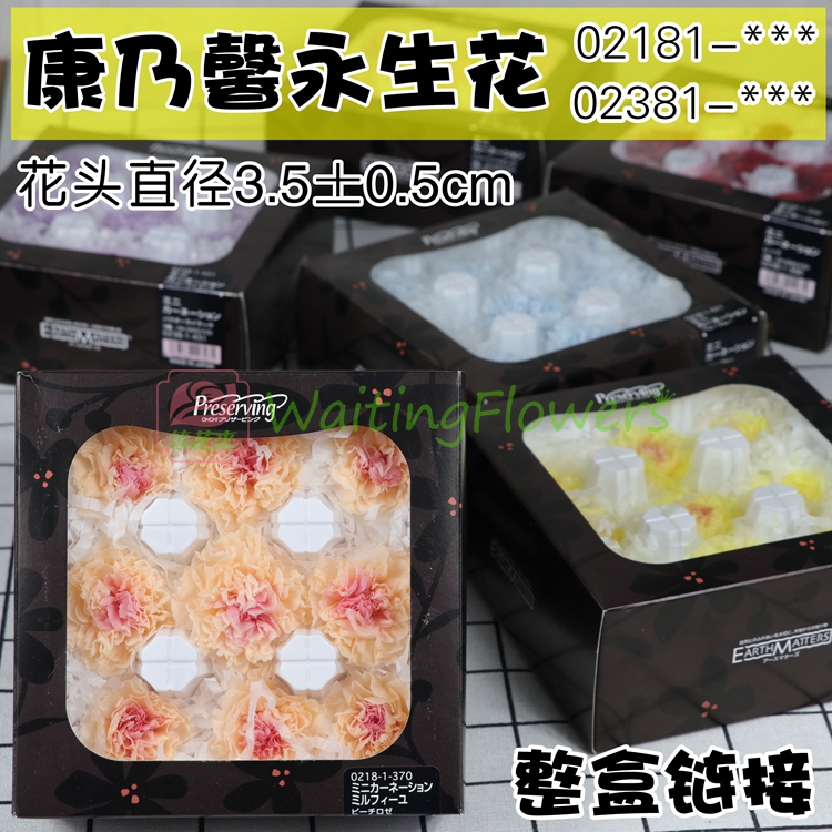 ÓÀÉú»¨¿µÄËܰ02381/02181diy²ÄÁÏÈÕ±¾½ø¿Ú´óµØÅ©Ô°³µ¹ÒÓÀÉú»¨ÀñºÐ