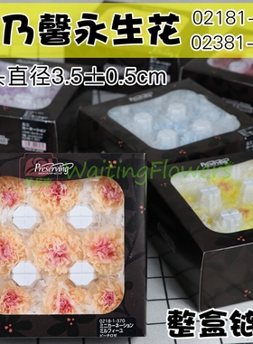 永生花康乃馨02381/02181diy材料进口大地农园车挂永生花礼盒