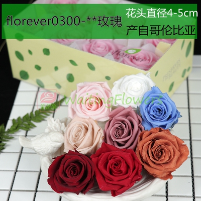 材料包玫瑰进口永生花florever