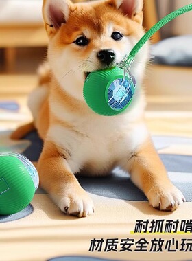 猫狗玩具自动遛狗球宠物小狗自嗨解闷耐咬电动智能逗狗跳跳球神器
