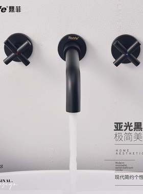 鼎菲入墙式暗装面盆龙头双把双控黑色洗手盆冷热水龙头热熔