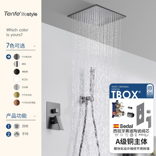 鼎菲暗装花洒吸顶嵌入式