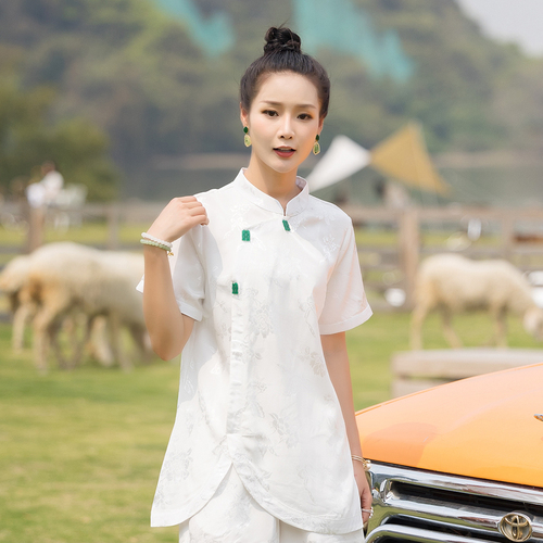 小雨点旗舰店 XYDQ1080