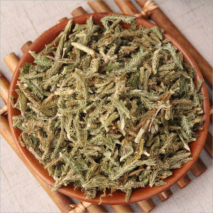 包邮中药材伸筋草石松狮子