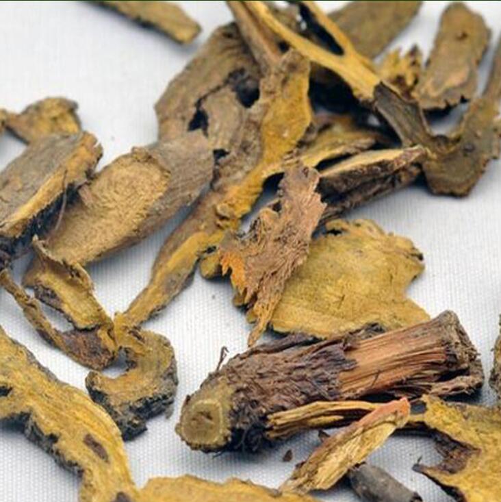 包邮中药材羊蹄大黄铁叶