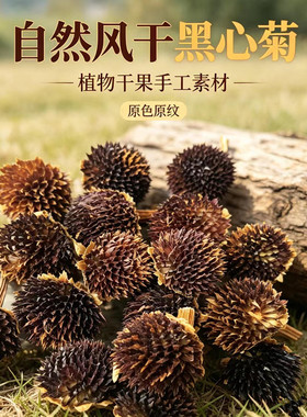【黑心菊】天然植物果实干果田园风ins手工diy材料幼儿环创圣诞花