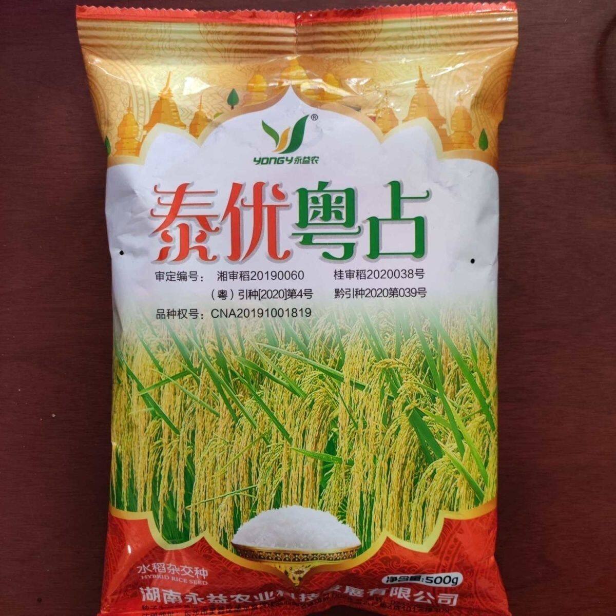泰优粤占杂交水稻种子杂交籼稻优蔬菜种子/种苗