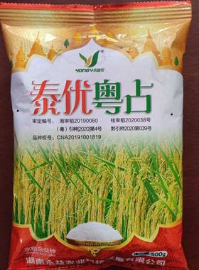 泰优粤占杂交水稻种子杂交籼稻优质水稻谷全生育期118天高产500克