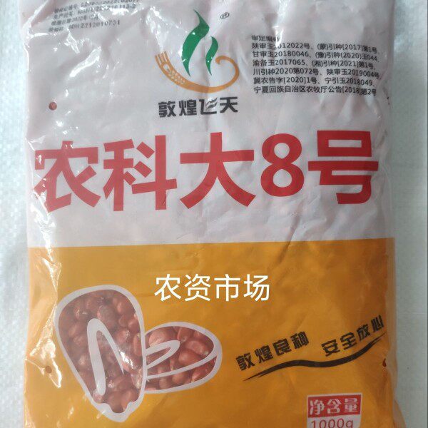 高产玉米种子农科大8号春夏播细蔬菜种子/种苗