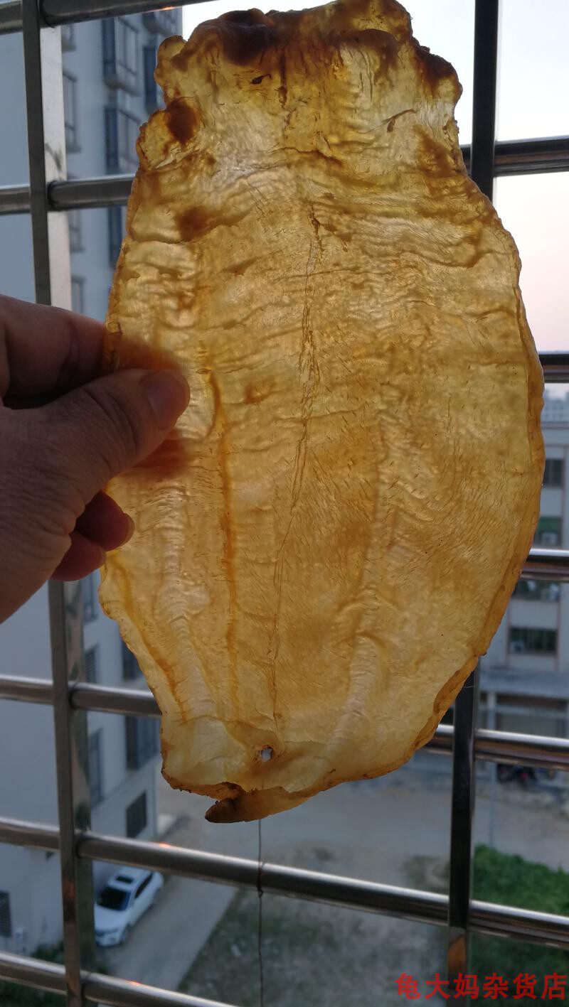 湛江天然赤嘴鳘鱼胶陈20年老胶104克