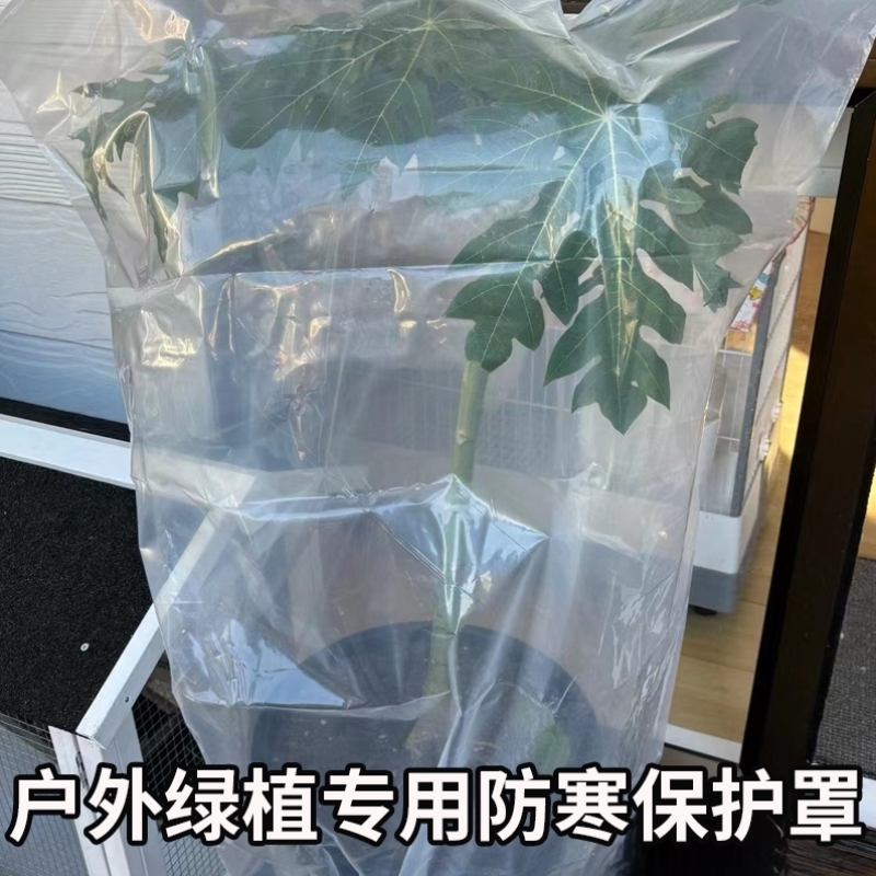 植物过冬防寒加厚塑料薄膜绿植防冻果树木防风透气保暖罩裹树布袋
