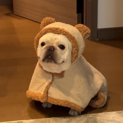 宠物狗狗衣服冬装小型犬法斗比熊泰迪披风毛毯睡袍斗篷2025新款