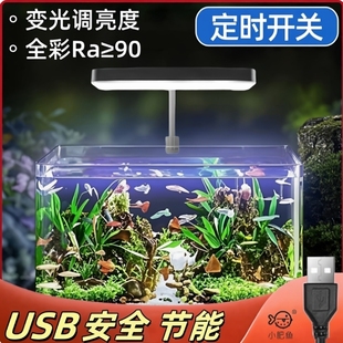 usb鱼缸灯定时全光谱led水草灯可调变色夹灯防溅水照明乌龟晒背灯