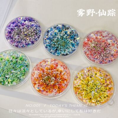伍先森原创彩色混装小碎花朵美甲专用干花瓣diy材料指甲装饰品