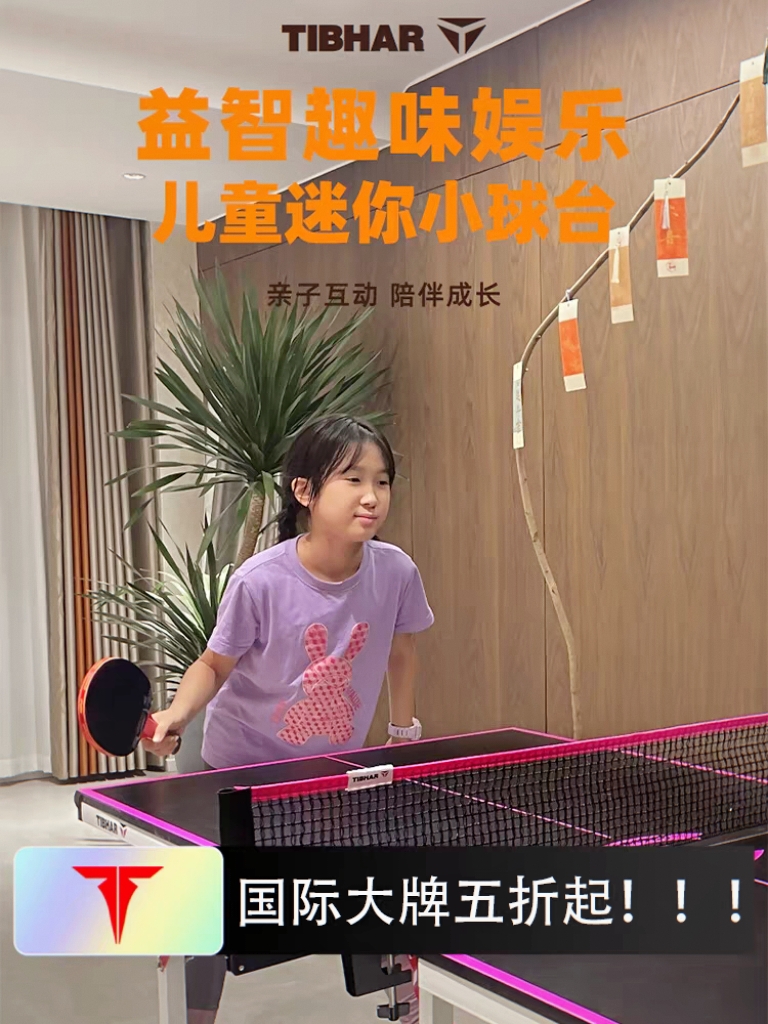 TIBHAR挺拔乒乓球桌家用室内可折叠乒乓球台儿童迷你小型乒乓球台