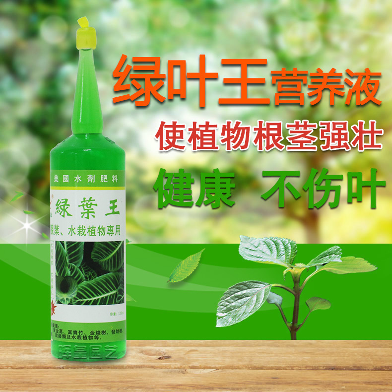 植物液肥绿萝价格 植物液肥绿萝图片 星期三 植物液肥绿萝价格 植物液肥绿萝图片 星期三